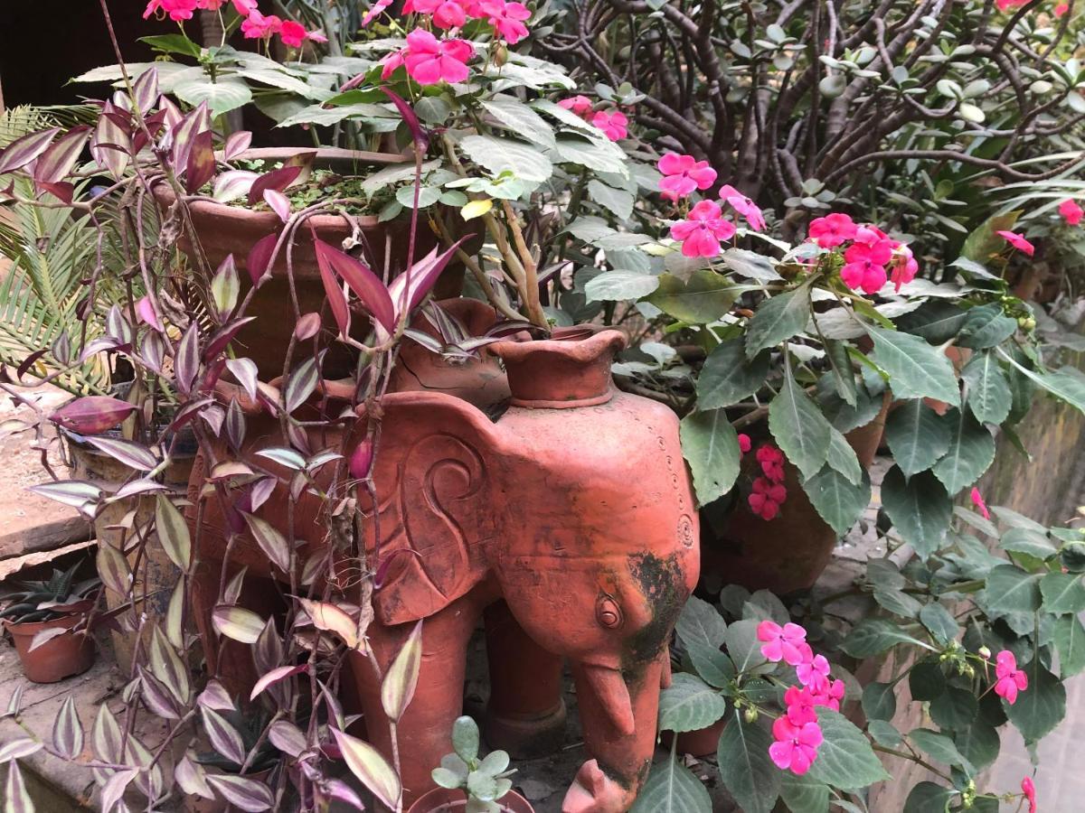 Newa Chen Historic House Unesco Lalitpur 外观 照片